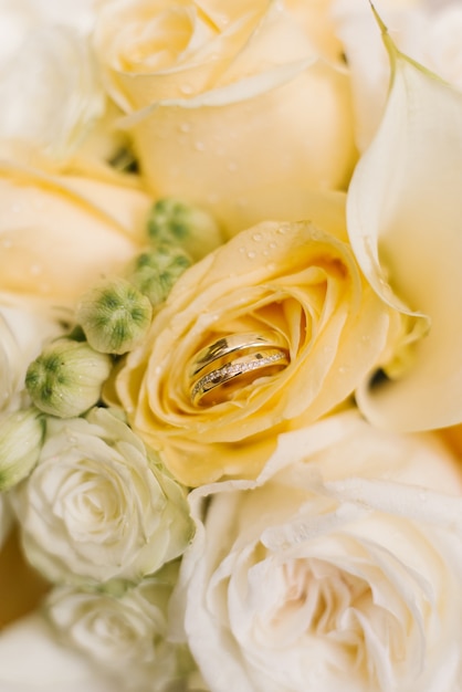 Goldhochzeitsringe in den weißen und orange Farben