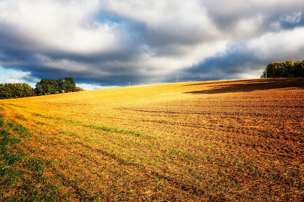 Goldlandwirtschaftsfeld und dramatischer Himmel mit niedrigen Wolken. Herbstlandschaft