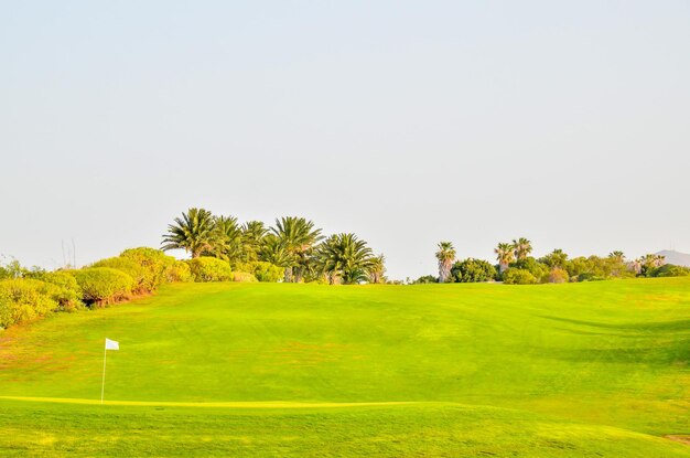 Golf Green Grass Field in tropischem Klima