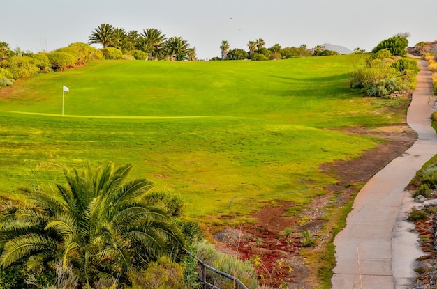 Golf Green Grass Field in tropischem Klima