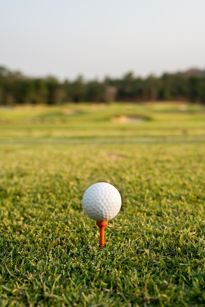 Golfball am Abschlag gegen den Golfplatz. Schließen Sie oben am Golfball und am T-Stück