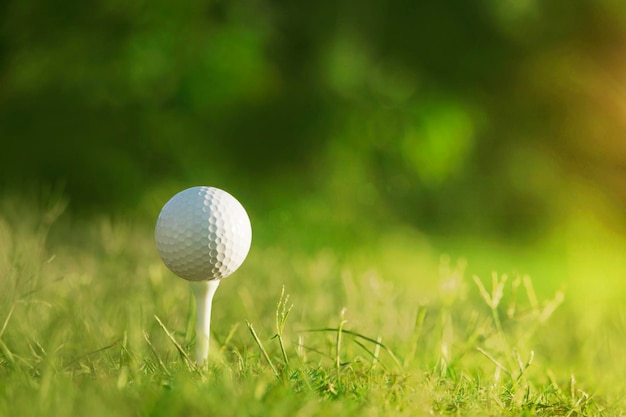 Golfball auf Abschlag in einem schönen Golfplatz mit Morgensonne