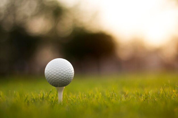 Golfball auf Abschlag in einem schönen Golfplatz mit Morgensonne