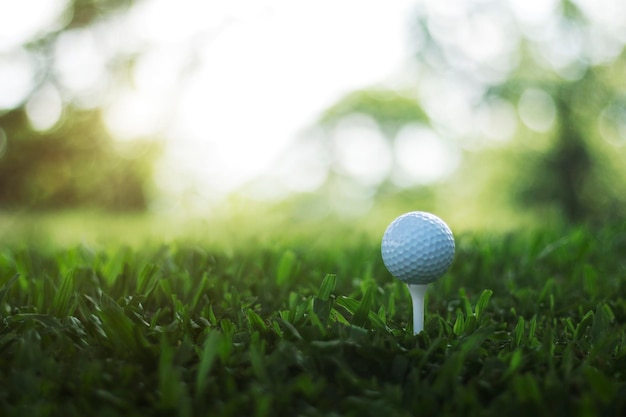 Golfball auf Abschlag in einem schönen Golfplatz mit Morgensonne