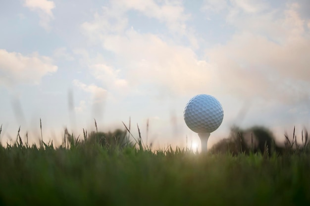 Golfball auf Abschlag in einem schönen Golfplatz mit Morgensonne