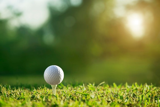 Golfball auf Abschlag in einem schönen Golfplatz mit Morgensonne