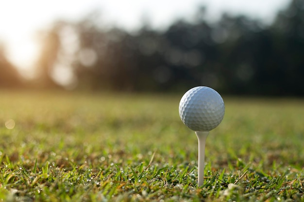 Golfball auf Abschlag in einem schönen Golfplatz mit Morgensonne