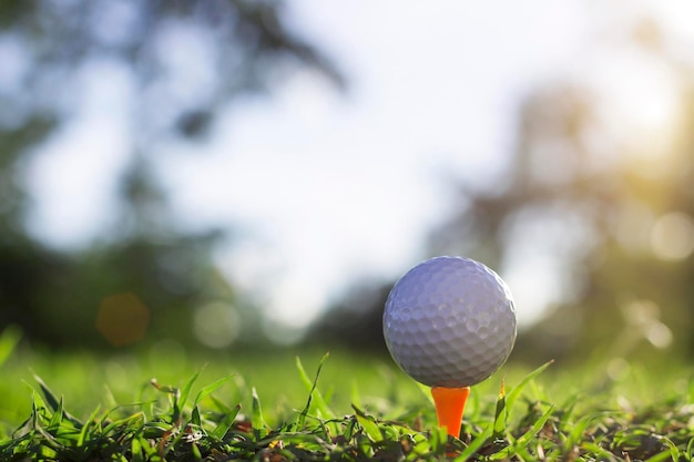 Golfball auf Abschlag in einem schönen Golfplatz mit Morgensonne