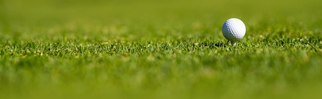 Golfball auf dem grünen Grasbanner Sportgolfball im Hintergrund mit Kopierbereich