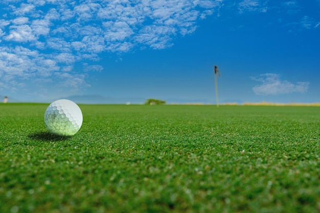 Golfball auf dem grünen kurs. sportspielplatz für golfclub mit landschaft als hintergrund