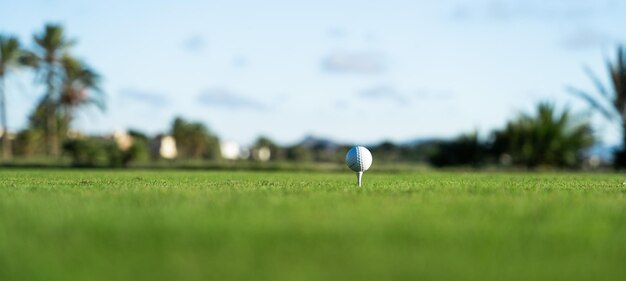 Golfball auf einem Tee auf dem Gras des Golfplatzes mit Bäumen und Himmel im Hintergrund Kopieren Sie den Raum auf der linken Seite Konzept Hintergründe und Texturen