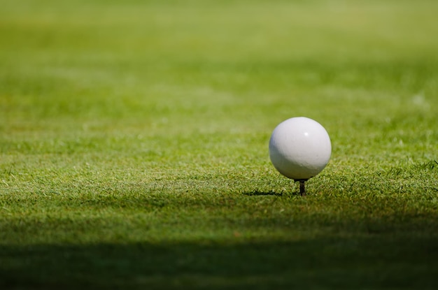 Golfball auf Gras