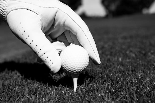 Golfball im Gras Golfball ist auf T-Stück auf grünem Grashintergrund