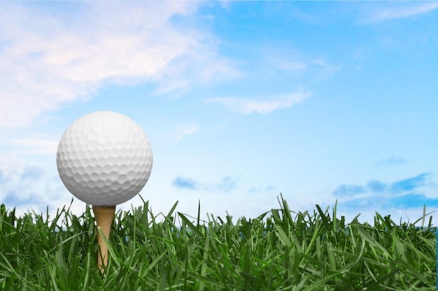 Golfball im Grashintergrund. Sport- und Erholungskonzept