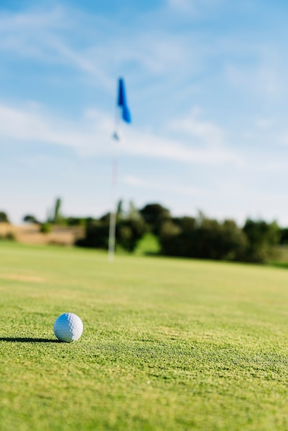 Golfclub und Ball im Gras. Golf-Konzept.