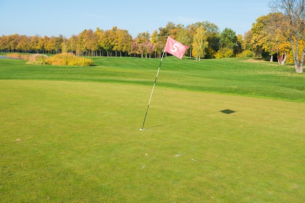 Golfflagge nahe falle auf grünem golffeld