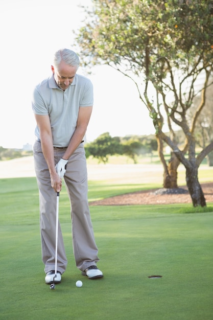 Golfista poniendo la pelota en el green