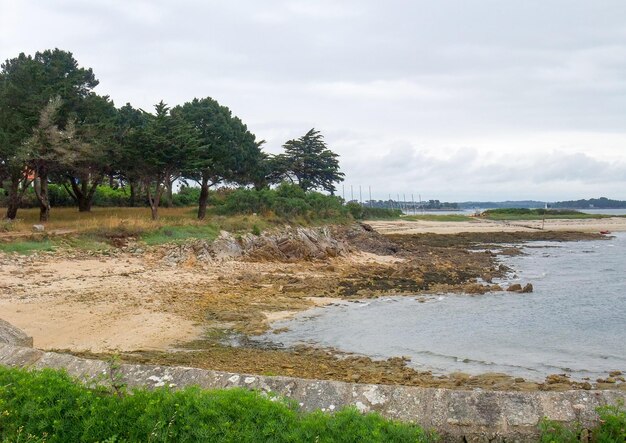 Golfo de Morbihan