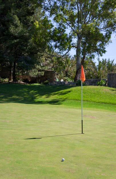 Golfplatz. Einzelheiten