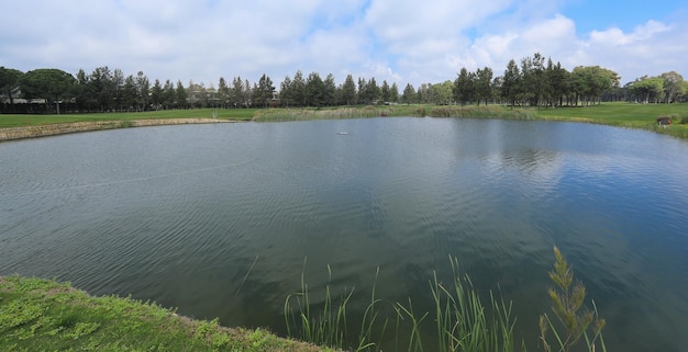 Golfplatz mit Wald und Teich