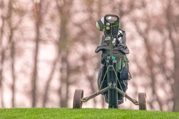 Golfschläger, Satz, auf einem Wagen bereit, Golf zu spielen. Golfplatz auf grünem Rasen.