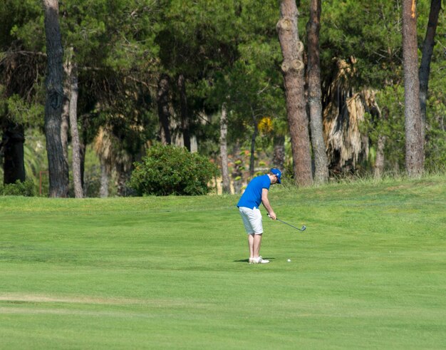 Golfspieler, der Golf schlägt, schoss mit Verein auf Kurs während auf Sommerferien