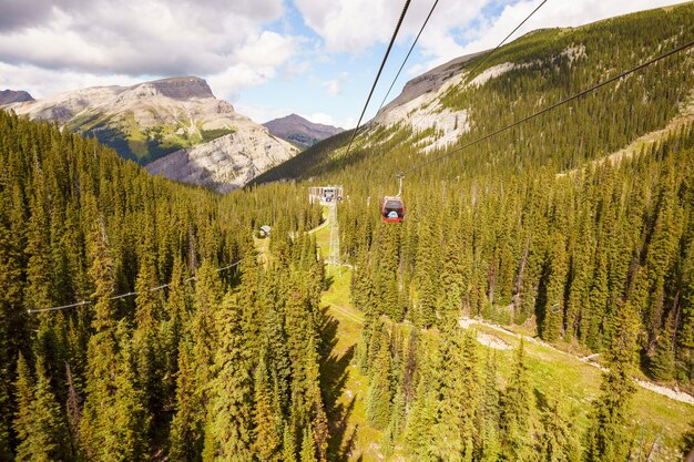 Gôndola para o teleférico turístico de Mt. Standish e os deslumbrantes Sunshine Meadows