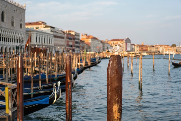 Gôndolas famosas típicas em Veneza