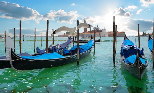 Góndolas en el Gran Canal de Venecia, Italia