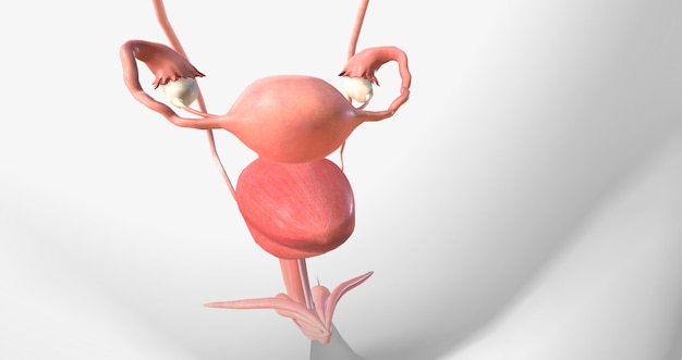 Gonorréia é uma infecção sexualmente transmissível causada pela bactéria Neisseria gonorrhoeae