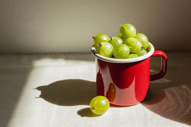 Gooseberry en una taza de esmalte rojo a la luz del sol