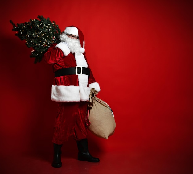 El gordo Santa Claus se apresura para las vacaciones. Lleva un árbol de Navidad al hombro y una gran bolsa llena de regalos. sobre un fondo rojo.