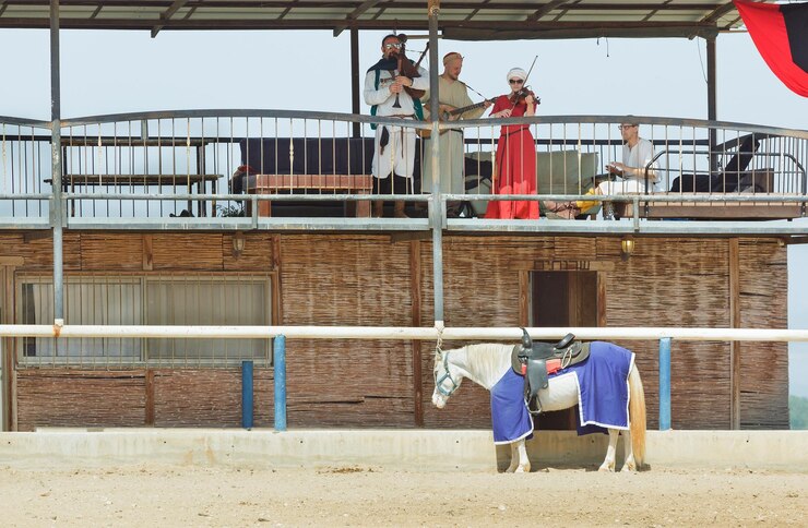 Foto goren, israel - 7 de abril de 2018: los músicos tocan instrumentos musicales para los huéspedes del festival de caballeros en el parque de goren en israel