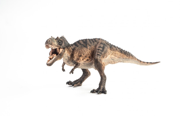 Gorgosaurus Dinosaurier