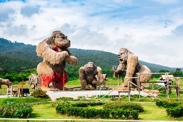 Gorilas gigantes no campo de arroz