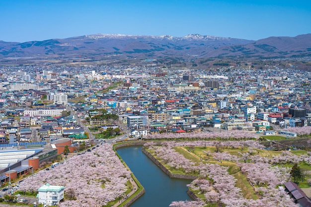 Goryokaku Park im Frühling Kirschblütensaison Luftaufnahme Hakodate Hokkaido Japan