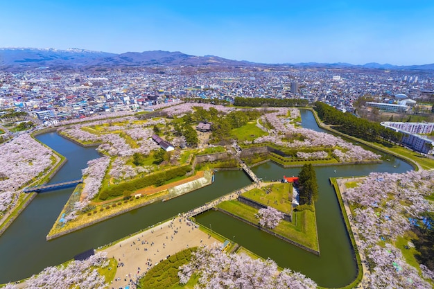 Goryokaku-Park in der Kirschblütenzeit im Frühling. Luftbild Hakodate Hokkaido Japan