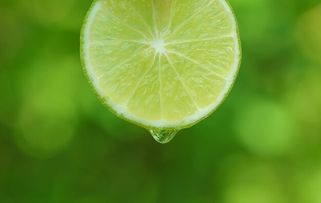 Foto gota de agua cayendo sobre fondo verde de cales