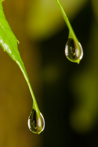 Foto gota de água