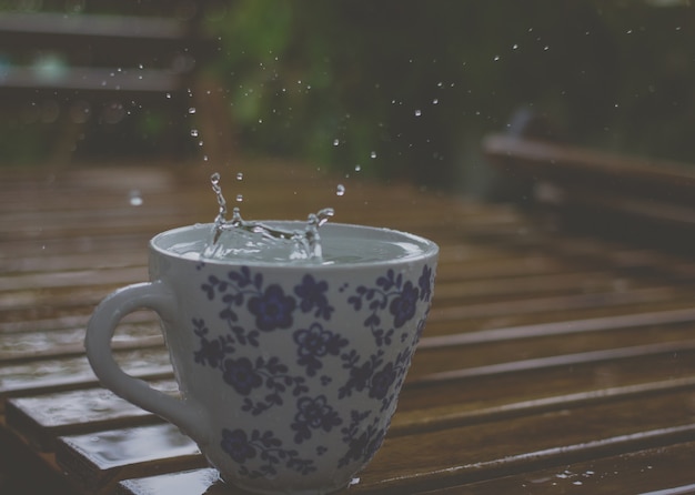 Foto gota de chuva da copa