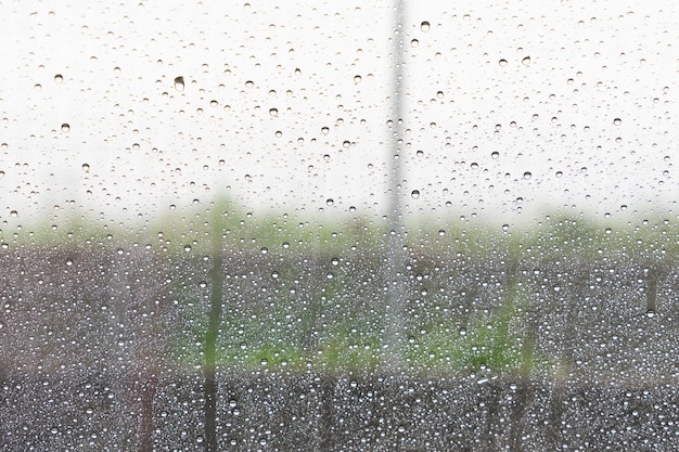 Gota de chuva no vidro com árvore e fundo de madeira