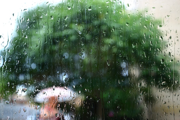 Gota de chuva no vidro da janela com desfocar o fundo da árvore.