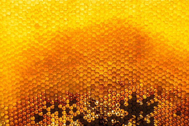 Gota de mel de abelha gotejamento de favos de mel hexagonais preenchidos com favos de mel de néctar dourado composição de verão que consiste em gota de mel natural em moldura de cera gota de mel de abelha gotejamento em favos de mel