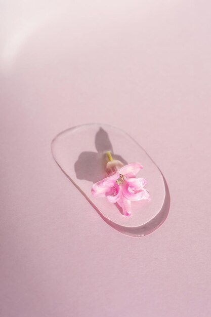 Una gota de gel cosmético con una flor en un fondo rosado