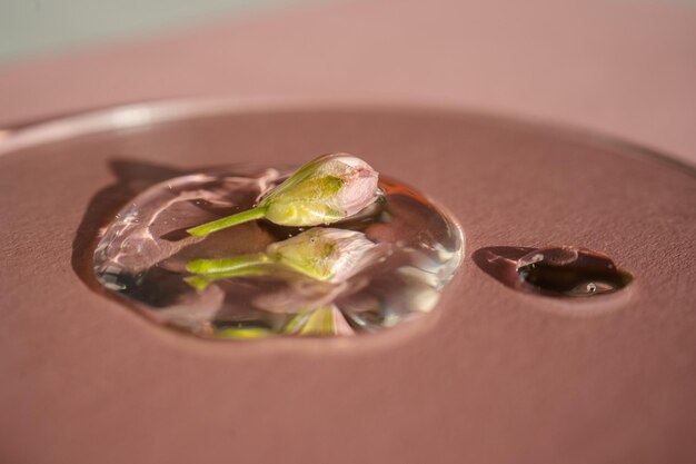 Foto una gota de gel cosmético con una flor sobre un fondo rosado