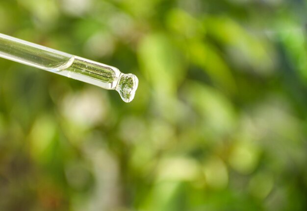 Gota redonda transparente de suero de ácido hialurónico o aceite de una pipeta de vidrio sobre un fondo verde