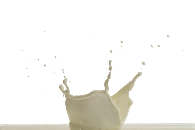 Gota de salpicaduras de leche aislado sobre fondo blanco.