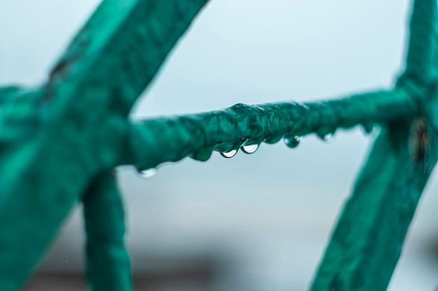 Foto gotas de agua en una cerca verde