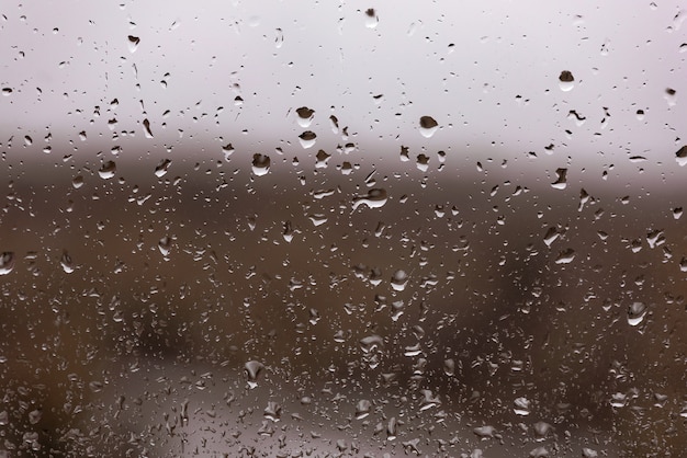 Gotas de agua después de la lluvia en un cristal oscuro