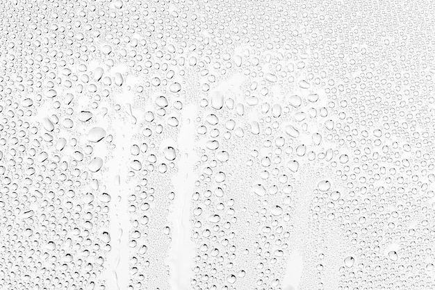 Gotas de agua de fondo blanco sobre el vidrio, papel tapiz de superposición de diseño abstracto